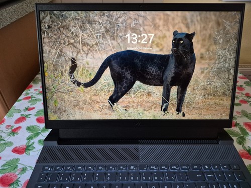 Dell g15 5530 gaming laptop - gaming,