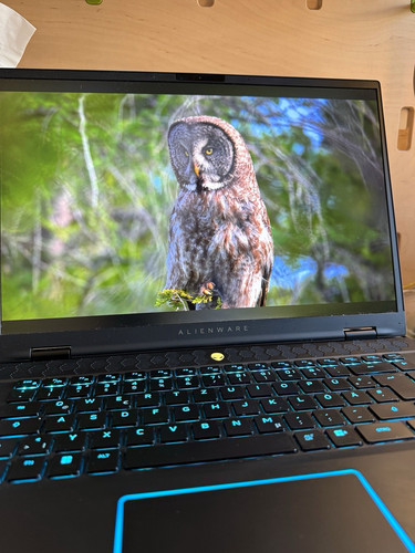 Alienware m16 gaming laptop - alienware, r2