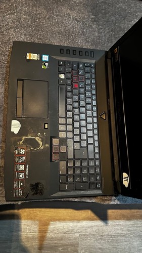 Acer predator - predator,