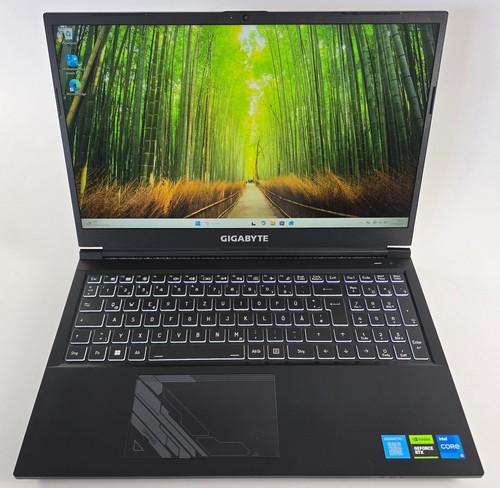Gigabyte gaming laptop - mf,